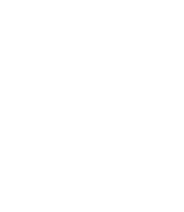 Regal Cairo International School logo