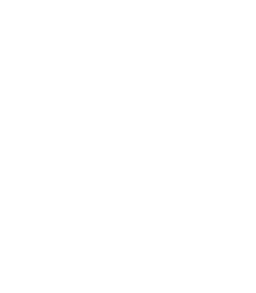 Fit N Flex logo
