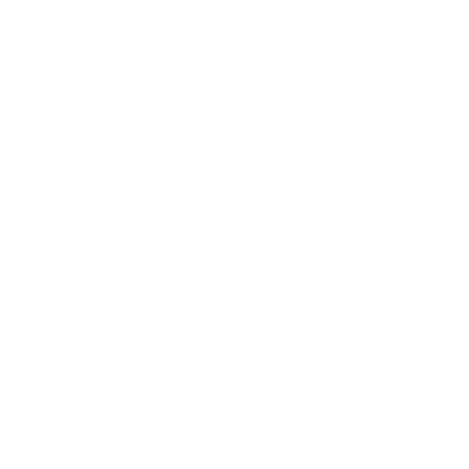 Nigmaya logo
